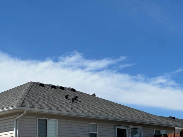 Best Gutter Installation and Repair  in Glouster, OH